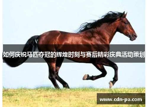 如何庆祝马匹夺冠的辉煌时刻与赛后精彩庆典活动策划 如何庆祝马匹夺冠的辉煌时刻与赛后精彩庆典活动策划