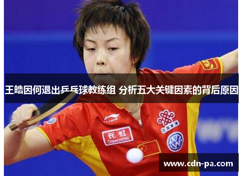 王皓因何退出乒乓球教练组 分析五大关键因素的背后原因