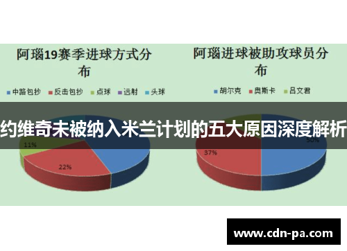 约维奇未被纳入米兰计划的五大原因深度解析 约维奇未被纳入米兰计划的五大原因深度解析