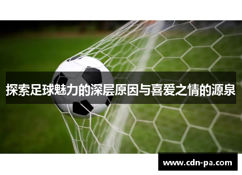 探索足球魅力的深层原因与喜爱之情的源泉