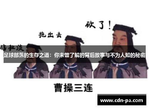 足球部落的生存之道:你未曾了解的背后故事与不为人知的秘密 足球部落的生存之道:你未曾了解的背后故事与不为人知的秘密