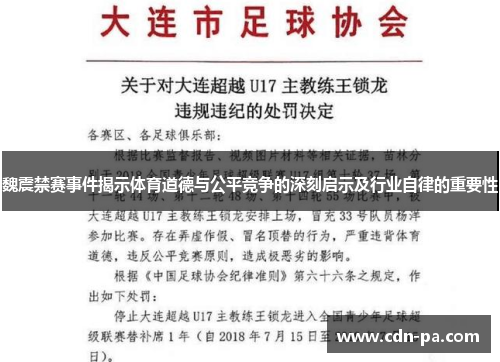 魏震禁赛事件揭示体育道德与公平竞争的深刻启示及行业自律的重要性