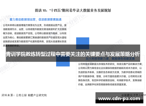 青训学院教练转型过程中需要关注的关键要点与发展策略分析