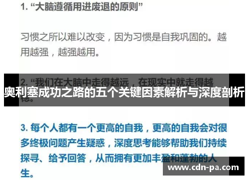 奥利塞成功之路的五个关键因素解析与深度剖析