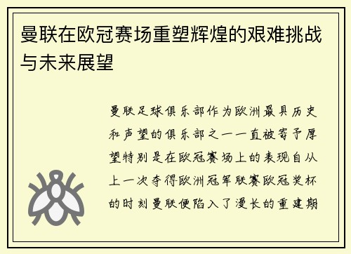 曼联在欧冠赛场重塑辉煌的艰难挑战与未来展望