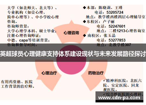 英超球员心理健康支持体系建设现状与未来发展路径探讨