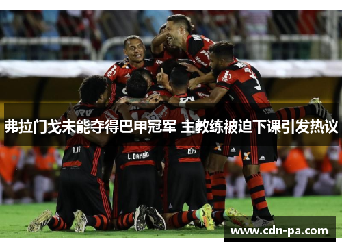 弗拉门戈未能夺得巴甲冠军 主教练被迫下课引发热议