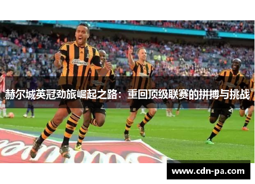 赫尔城英冠劲旅崛起之路：重回顶级联赛的拼搏与挑战
