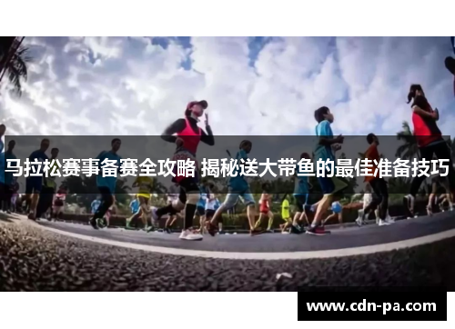马拉松赛事备赛全攻略 揭秘送大带鱼的最佳准备技巧 马拉松赛事备赛全攻略 揭秘送大带鱼的最佳准备技巧